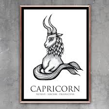 Capricorn (December 22 – January 19)